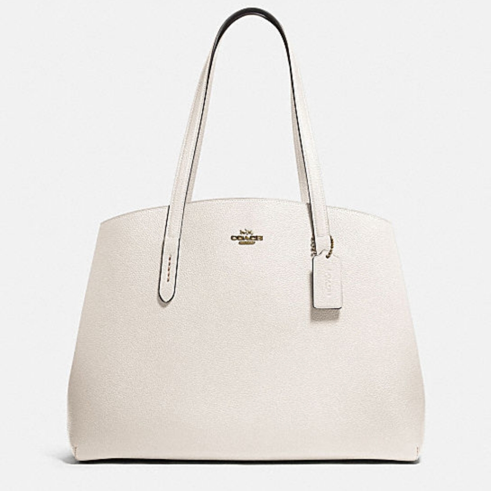 BNWT Coach Retail Charlie Carryall 40